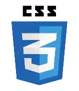 CSS Logo